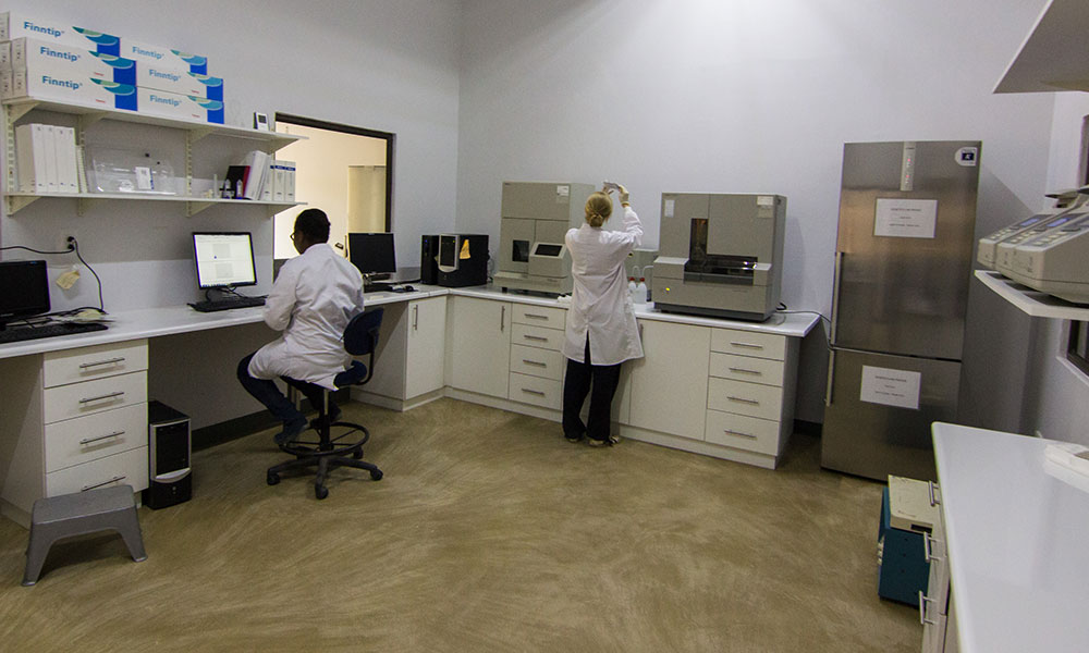 Genetics lab scientific research on cheetahs